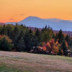 Meet your Posher, Lorri